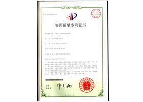 技術(shù)專利